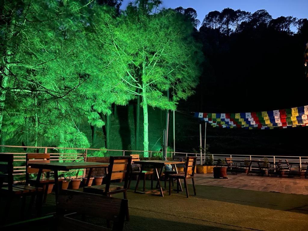 Hillcrest Heights Bed & Breakfast Kasauli Dış mekan fotoğraf