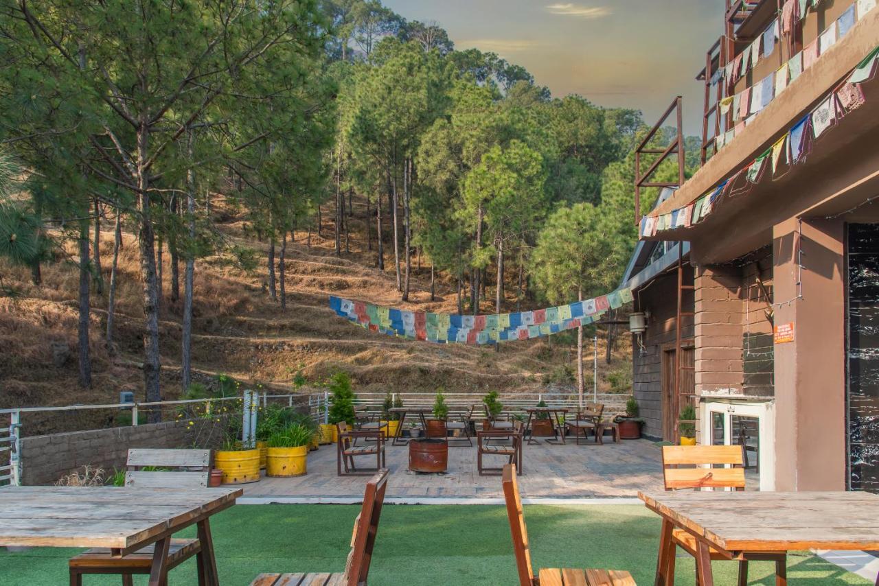 Hillcrest Heights Bed & Breakfast Kasauli Dış mekan fotoğraf