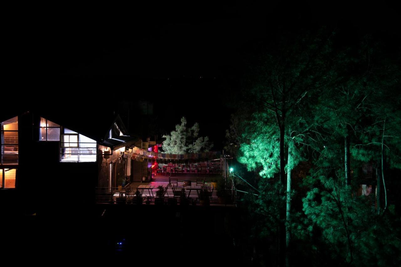 Hillcrest Heights Bed & Breakfast Kasauli Dış mekan fotoğraf