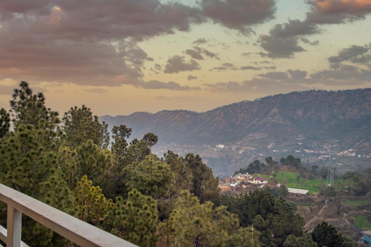 Hillcrest Heights Bed & Breakfast Kasauli Dış mekan fotoğraf