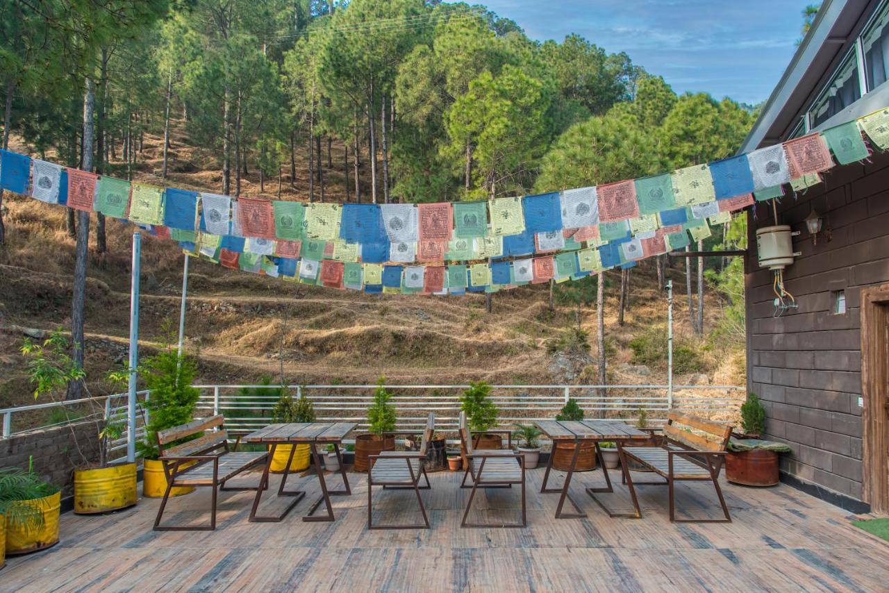 Hillcrest Heights Bed & Breakfast Kasauli Dış mekan fotoğraf